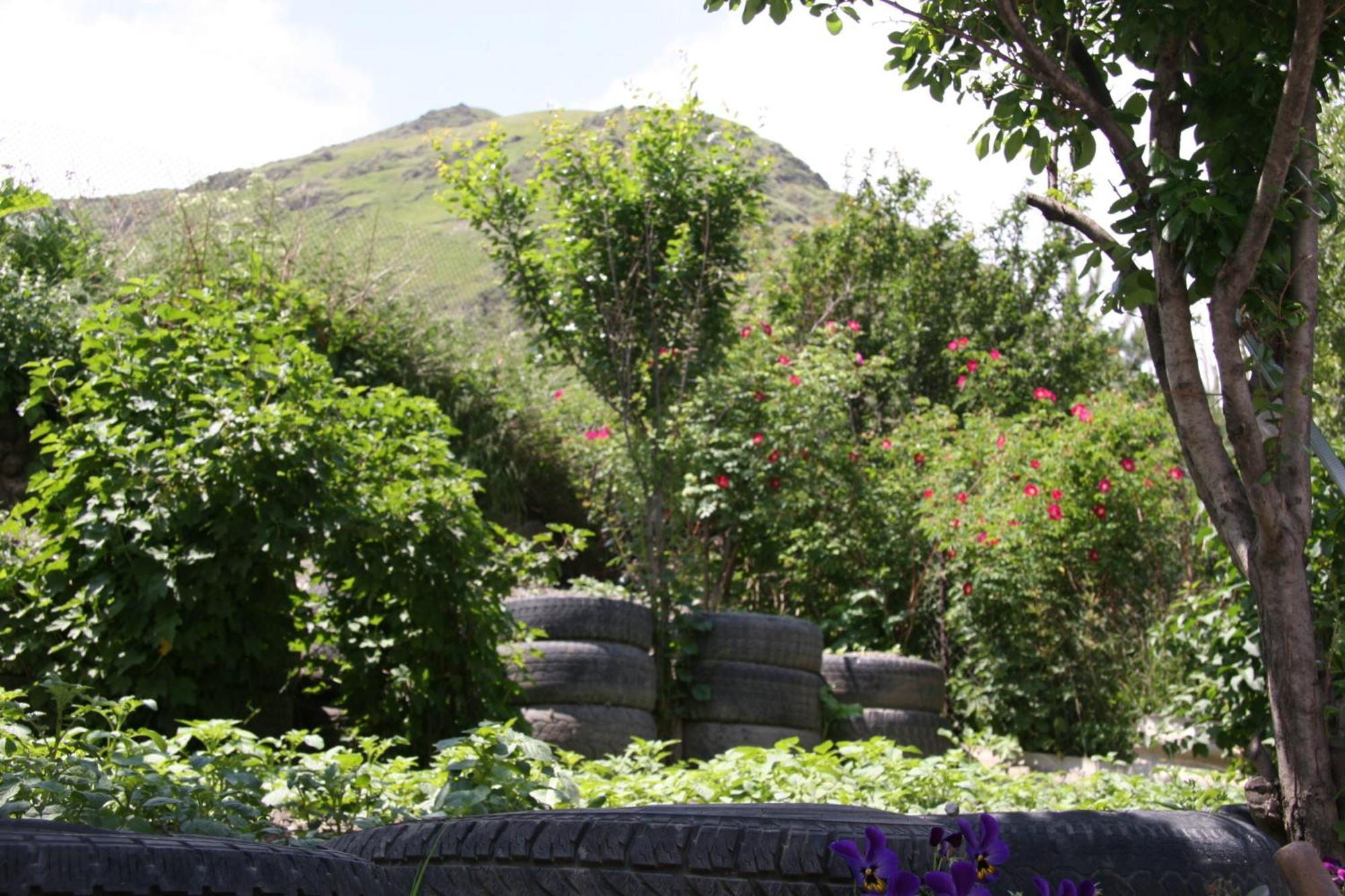 Guest House Sabauri คัซเบกี ภายนอก รูปภาพ